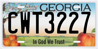 GA license plate CWT3227