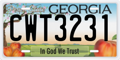 GA license plate CWT3231