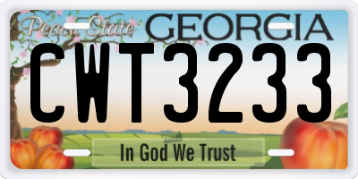 GA license plate CWT3233