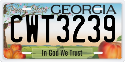GA license plate CWT3239