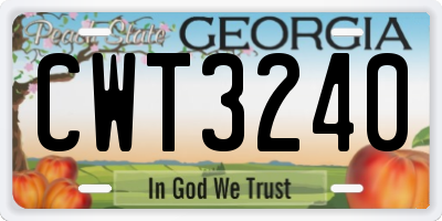 GA license plate CWT3240