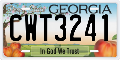 GA license plate CWT3241
