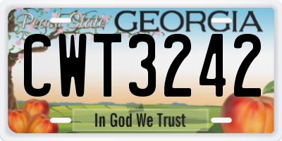 GA license plate CWT3242