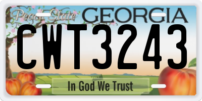 GA license plate CWT3243