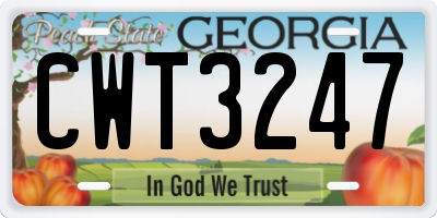 GA license plate CWT3247
