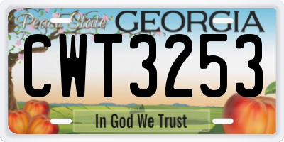 GA license plate CWT3253