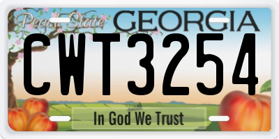 GA license plate CWT3254