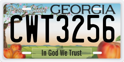 GA license plate CWT3256