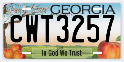 GA license plate CWT3257
