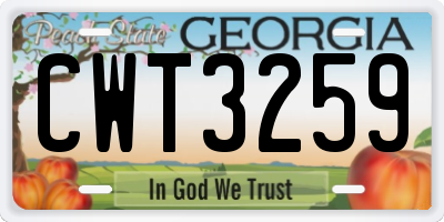 GA license plate CWT3259