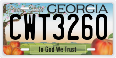 GA license plate CWT3260