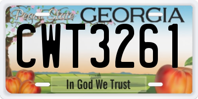 GA license plate CWT3261