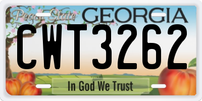 GA license plate CWT3262