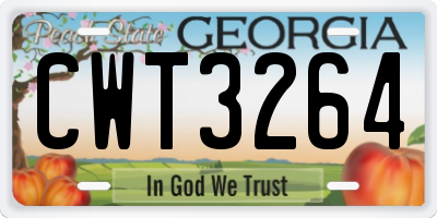 GA license plate CWT3264