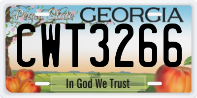 GA license plate CWT3266