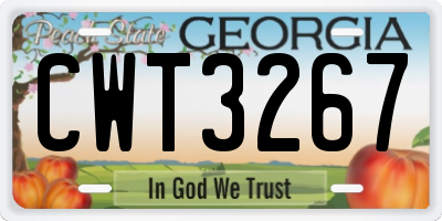 GA license plate CWT3267