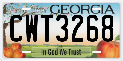 GA license plate CWT3268
