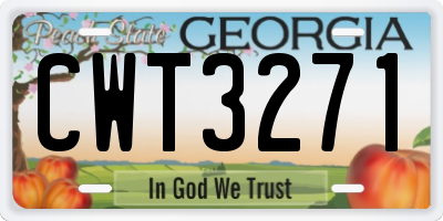 GA license plate CWT3271