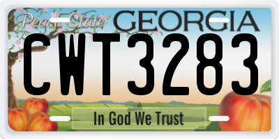 GA license plate CWT3283