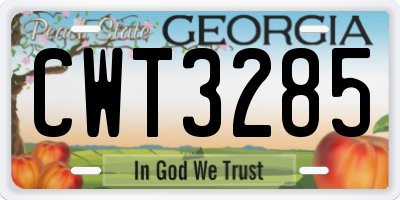 GA license plate CWT3285