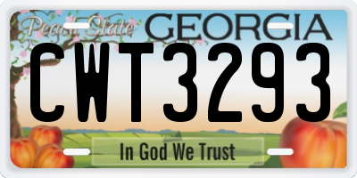 GA license plate CWT3293