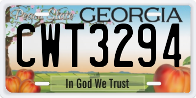 GA license plate CWT3294