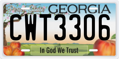 GA license plate CWT3306
