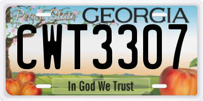 GA license plate CWT3307