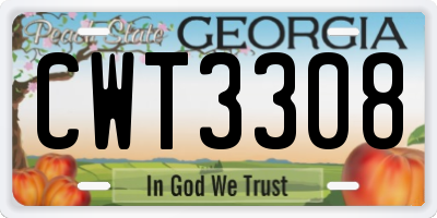 GA license plate CWT3308