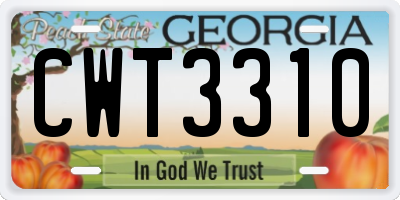 GA license plate CWT3310