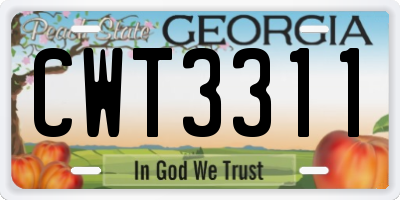 GA license plate CWT3311
