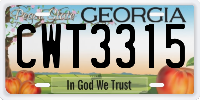 GA license plate CWT3315