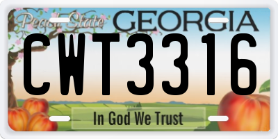 GA license plate CWT3316