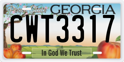 GA license plate CWT3317