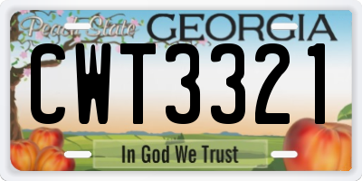 GA license plate CWT3321