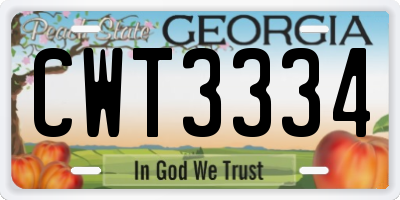 GA license plate CWT3334