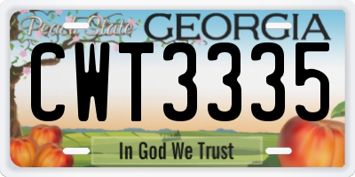 GA license plate CWT3335