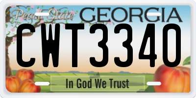 GA license plate CWT3340