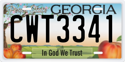 GA license plate CWT3341