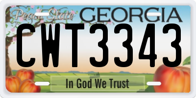 GA license plate CWT3343