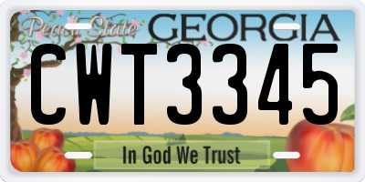 GA license plate CWT3345