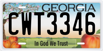 GA license plate CWT3346