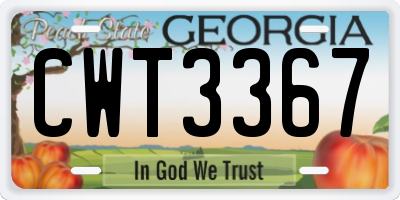 GA license plate CWT3367