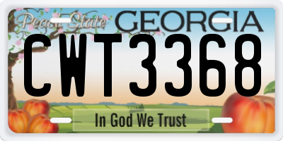GA license plate CWT3368