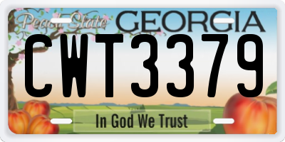 GA license plate CWT3379