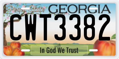 GA license plate CWT3382