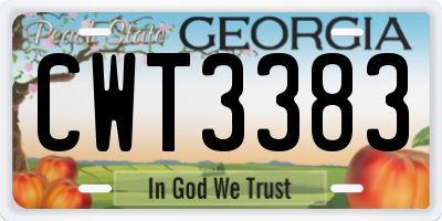 GA license plate CWT3383