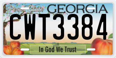 GA license plate CWT3384