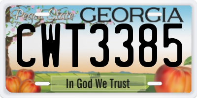 GA license plate CWT3385