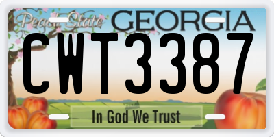 GA license plate CWT3387